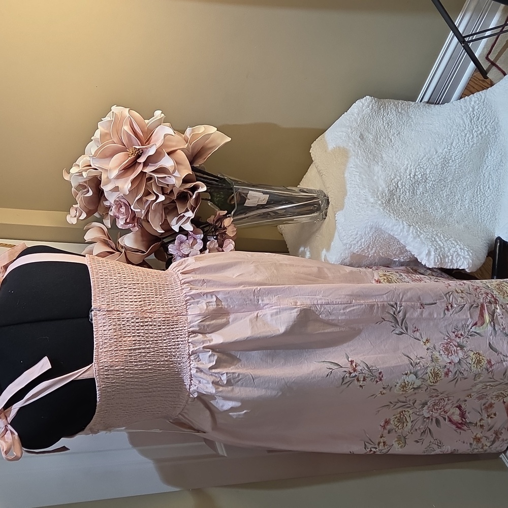 Nwt XL. Large. Medium Joie Light Pink Floral Maxi Dress  And Zipper In The Back - Picture 12 of 17